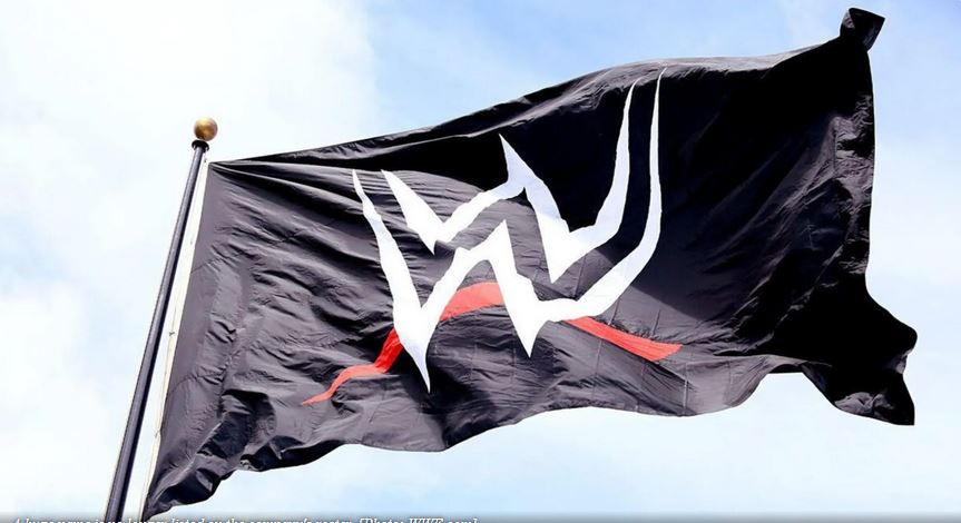 WWE، بزرگترین کمپانی کشتی کج در جهان است